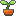 plants_bud